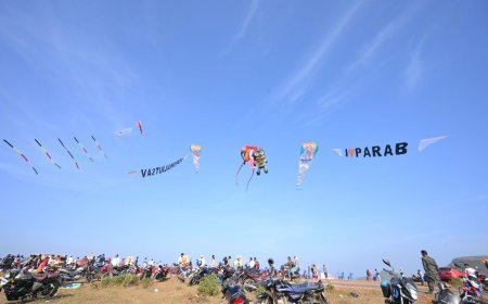 Deomali skies light up with Odisha's first professional kite festival