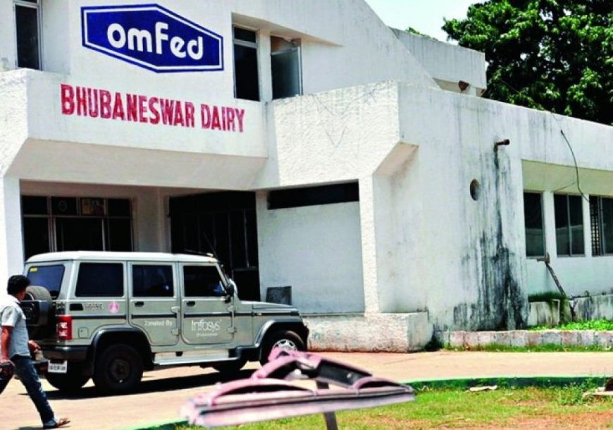 Omfed ghee to be used in all major temples in Odisha, says Minister