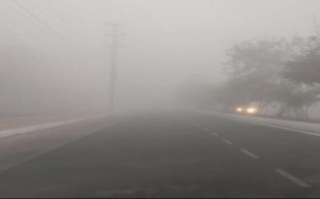 Visibility plummets in Odisha as IMD warns of continued dense fog