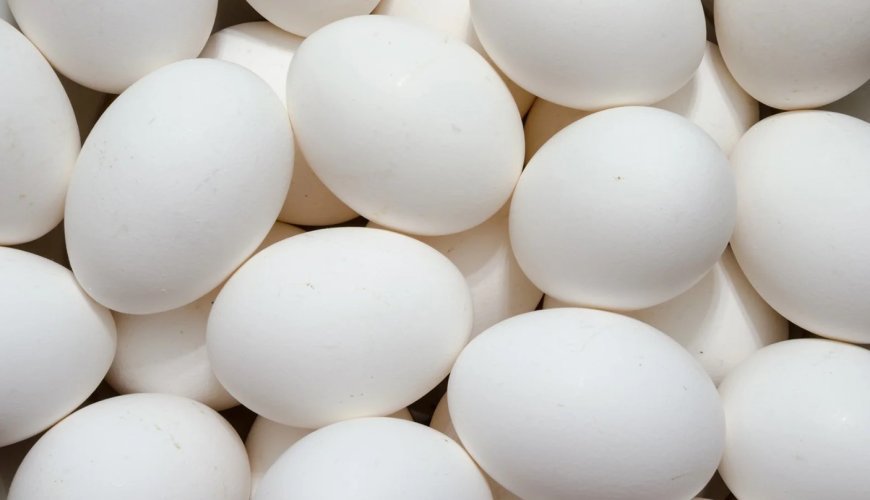 Action to be taken against egg hoarders in Odisha, says Minister