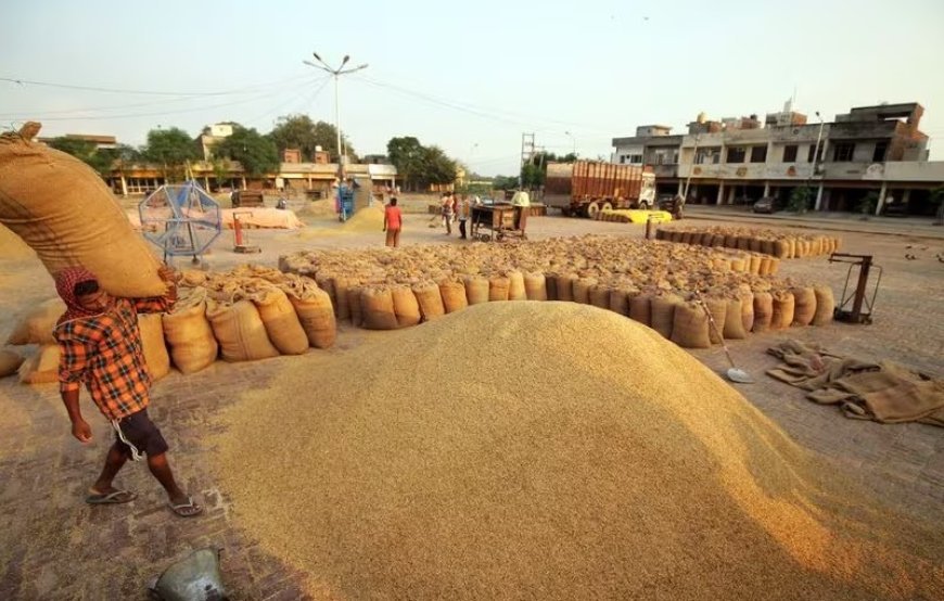 Odisha Government mulling to compensate to farmers affected by heavy rainfall