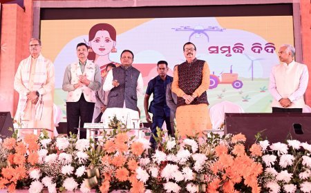 Odisha CM declares December rain as natural disaster, farmers to receive compensation