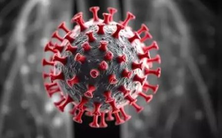 Odisha Government dismisses HMPV outbreak rumors