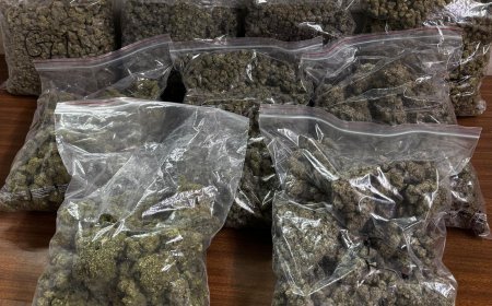 DRI and Customs seize over 4 kg of marijuana at Bhubaneswar Airport