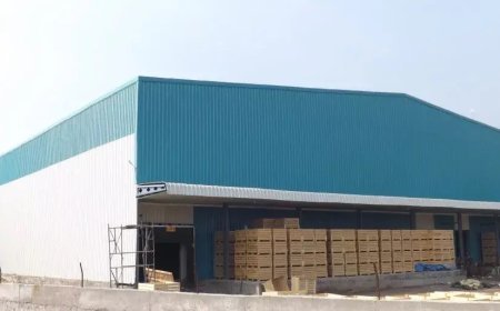 Odisha Cabinet approves new scheme to enhance cold storage facilities