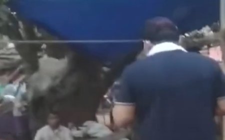 Collector in Odisha goes undercover to investigate paddy procurement irregularities