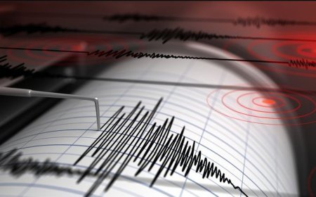 Odisha shaken by early morning earthquake, no damage reported