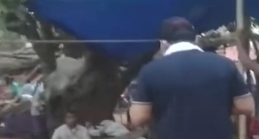 Collector in Odisha goes undercover to investigate paddy procurement irregularities