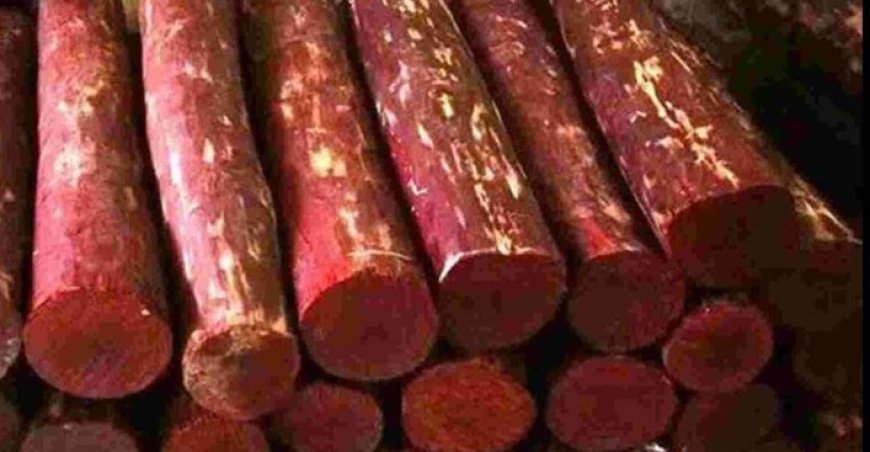 Odisha to conduct fourth phase of global e-auction for red sandalwood on April 9