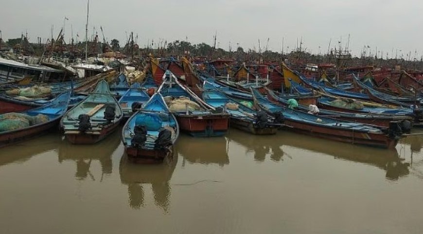 Odisha enforces two-month fishing ban to protect marine life