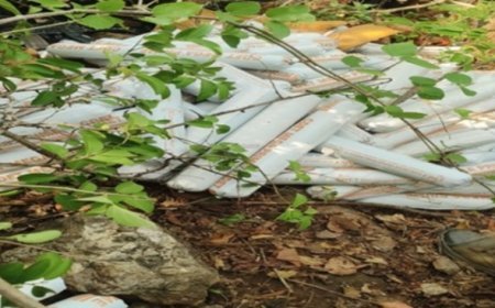 2.5 tonnes of Maoist explosives recovered in Odisha’s Sundargarh forests