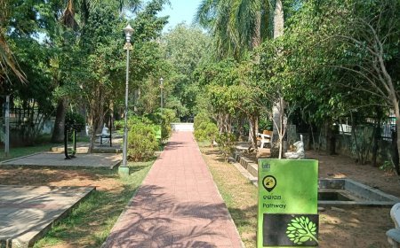 BDA extends weekend park hours; parks to remain open all day from December 13