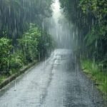 Monsoon