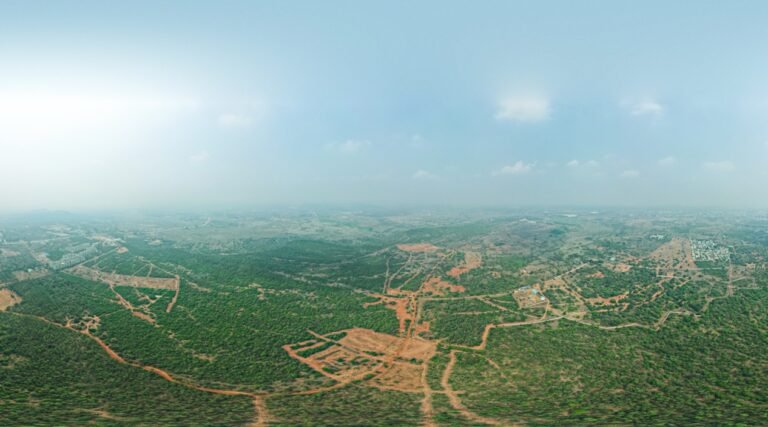 New City