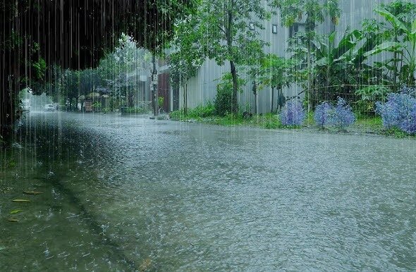rain