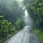 Rain