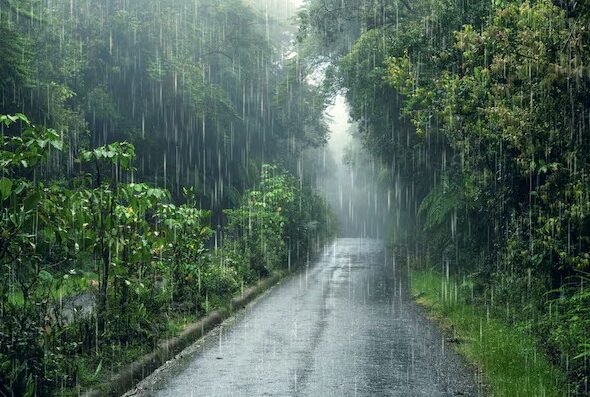 Rain