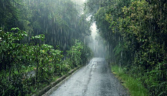 Rain